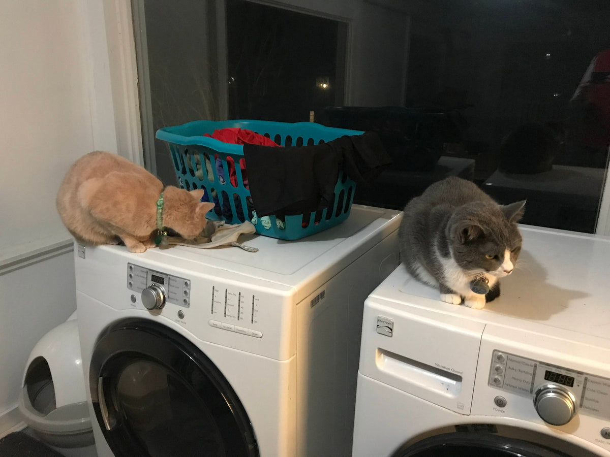 The Appliance "Dud": How to Live with a Vibrating Washer While You Fight for a Fix